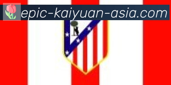 开元体育合作伙伴